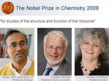 В этом году Нобелевской премии по химии удостоились американец Томас Стейц, израильтянка Ада Йонат и уроженец Индии Венкатраман Рамакришнан за изучение структуры и функций рибосомы - одной из важнейших частей клетки, синтезирующей белок