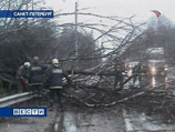Ураганный ветер в Петербурге стал причиной 17 ЧП