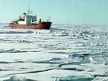 Арктика растает через 20 лет, утверждают британские ученые
Арктика растает через 20 лет, утверждают британские ученые