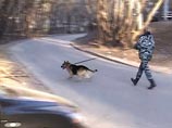 В Ростовской области пропала двухлетняя девочка, которую мать оставила дома с братом В Ростовской области пропала двухлетняя девочка, которую мать оставила дома с братом