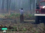Два поселка в Мильковском районе Камчатки остались без энергоснабжения из-за лесного пожара