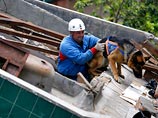 Российские врачи, работавшие на Суматре, возвращаются в Москву Российские врачи, работавшие на Суматре, возвращаются в Москву