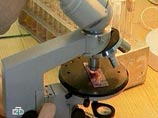 Россия ограничивает ввоз мяса из Германии, Литвы, Бразилии, Аргентины, Голландии Россия ограничивает ввоз мяса из Германии, Литвы, Бразилии, Аргентины, Голландии