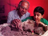 Погубивший динозавров метеорит упал в Индии, решили ученые