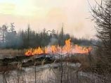 В Магаданской области горят 350 гектаров тундры