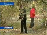 Начальников омского милиционера-убийцы понизили, сослуживцам назначили обследование Начальников омского милиционера-убийцы понизили, сослуживцам назначили обследование