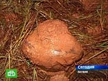 Упавший в Латвии метеорит был размером с кулак, считают ученые Упавший в Латвии метеорит был размером с кулак, считают ученые