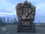 Ради Финляндии заградительные пошлины на лес будут введены не ранее чем через 14 месяцев