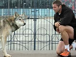 31-летний регбист выиграл забег у волка на стадионе Уэмбли (ВИДЕО)