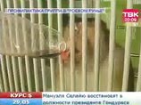 Иммунитет красноярских приматов повышают с помощью кагора