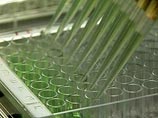 В Москве зафиксирована вторая смерть от A/H1N1: в реанимации скончалась
29-летняя женщина В Москве зафиксирована вторая смерть от A/H1N1: в реанимации скончалась
29-летняя женщина