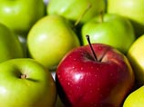 Ученые создают супер-яблоки: они не будут гнить месяцами