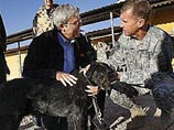 Собака австралийских саперов в Афганистане нашлась невредимой спустя год после пропажи во время боя