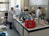 Ученые выяснили: к избавлению от депрессии может привести блокирование одного из генов Ученые выяснили: к избавлению от депрессии может привести блокирование одного из генов