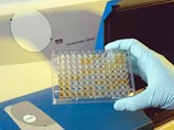 Федерация велоспорта России дисквалифицировала четырех гонщиков Федерация велоспорта России дисквалифицировала четырех гонщиков