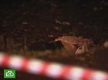 В Кабардино-Балкарии убиты двое милиционеров: возможно, из-за статьи "Шура обезглавлена" В Кабардино-Балкарии убиты двое милиционеров: возможно, из-за статьи "Шура обезглавлена"