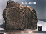Микроскопические образования, обнаруженные на марсианском метеорите ALH 84001, упавшем на Землю 13 тыс. лет назад, почти наверняка являются окаменевшими бактериями