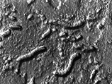 Ученые NASA обнаружили убедительные доказательства существования жизни на Марсе Ученые NASA обнаружили убедительные доказательства существования жизни на Марсе