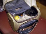 В искореженном вагоне "Невского экспресса" найден чемодан с героином