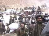 Пленный талиб намекнул, где искать бен Ладена - в Афганистане
