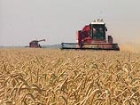 Россия намерена ограничить импорт продовольствия на 10-15%
