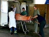 На Урале задержаны пятеро скинхедов, избившие до смерти бомжа На Урале задержаны пятеро скинхедов, избившие до смерти бомжа