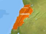 У берегов Ливана затонул панамский сухогруз, перевозивший овец: пропавшими числятся 64 моряка