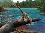 Динозавра Sinornithosaurus считают прародителем современных птиц. Он был довольно скромного размера по сравнению с остальными видами этих вымерших животных - длиной всего около метра