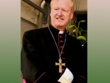 Ирландский католический епископ подал в отставку из-за скандала с педофилией