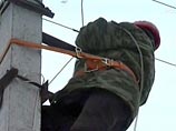 Близ Воронежа браконьеры срубили сосну. Дерево, упав на провода, обесточило поселок Близ Воронежа браконьеры срубили сосну. Дерево, упав на провода, обесточило поселок