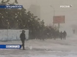 Во Владивостоке вместо поваленной искусственной ели установили новую, живую и ниже "ростом" Во Владивостоке вместо поваленной искусственной ели установили новую, живую и ниже "ростом"