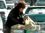 Тяжелее всего ощущают на себе последствия кризиса женщины, люди, не имеющие высшего образования и население небольших городов Тяжелее всего ощущают на себе последствия кризиса женщины, люди, не имеющие высшего образования и население небольших городов