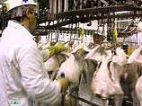 США грозят России осложнением отношений из-за запрета на импорт курятины