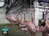 С 1 января 2010 года в России действуют санитарные нормы, которые запрещают ввоз мяса птицы, обработанного хлором