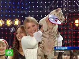 В августе 2009 года на детском фестивале в Скадовске Тимошенко получила в подарок детеныша бенгальского тигра