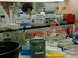 Итальянским ученым удалось создать кости млекопитающих из древесины пальмы Итальянским ученым удалось создать кости млекопитающих из древесины пальмы
