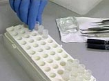 Обещанного учеными вымирания мужчин не будет: наоборот, они спасут человечество Обещанного учеными вымирания мужчин не будет: наоборот, они спасут человечество
