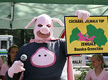 В Латвии Свиночеловек подал заявку на участие в "Евровидении"