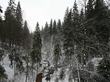 Заместитель иркутского губернатора потерялся в тайге во время охоты Заместитель иркутского губернатора потерялся в тайге во время охоты