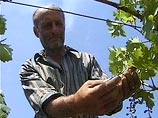 "Первый кавказский" начал вещать из Грузии на территорию России "Первый кавказский" начал вещать из Грузии на территорию России