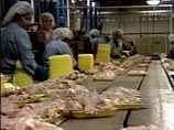 Американская курятина новым нормам не соответствует, а потому ее ввоз прекращен. При этом утвержденная правительством России квота на поставки птицы из США составляет 600 тысяч тонн, или примерно пятую часть отечественного рынка Американская курятина новым нормам не соответствует, а потому ее ввоз прекращен. При этом утвержденная правительством России квота на поставки птицы из США составляет 600 тысяч тонн, или примерно пятую часть отечественного рынка