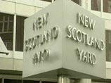 Полицейские Скотланд-Ярда захламили столы бумагами, вызвав нашествие грызунов