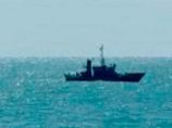 На дно Средиземного моря спущен робот для фотосъемки фрагментов рухнувшего эфиопского лайнера На дно Средиземного моря спущен робот для фотосъемки фрагментов рухнувшего эфиопского лайнера