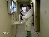 Новозеландская девочка отбила нападение акулы доской для плавания Новозеландская девочка отбила нападение акулы доской для плавания
