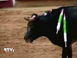 В Колумбии бык поднял на рога 11-летнего матадора. Тот вернулся к бою и снова получил удар 