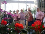 КНДР предлагает Владивостоку цветы сортов "кимирсенхва" и "кимченирхва"