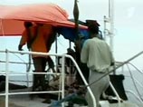 К сомалийским пиратам попало в плен северокорейское судно