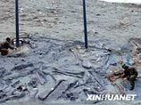 Более трех тысяч следов динозавров, живших около 100 миллионов лет назад, обнаружили палеонтологи в китайской провинции Шаньдун - ученые полагают, что животные бежали от внезапной опасности, сообщает в субботу агентство Синьхуа