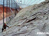 Раскопки в районе города Чжучэн, традиционно считающимся "городом динозавров" в Шаньдуне (восточный Китай) велись в течение трех месяцев. В результате ученым удалось обнаружить беспрецедентный по количеству следов участок склона 