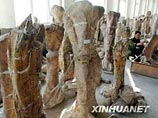 Китайские палеонтологи нашли более трех тысяч следов испуганных динозавров Китайские палеонтологи нашли более трех тысяч следов испуганных динозавров